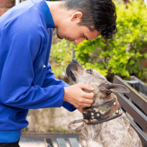 A dog sitting outside on a bench looks up into its person's eyes, while its person cradles the dog's face in their hands. pet care during emergency is so important